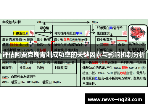 评估阿贾克斯青训成功率的关键因素与影响机制分析