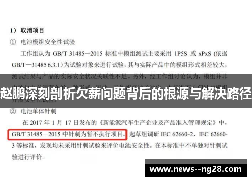 赵鹏深刻剖析欠薪问题背后的根源与解决路径